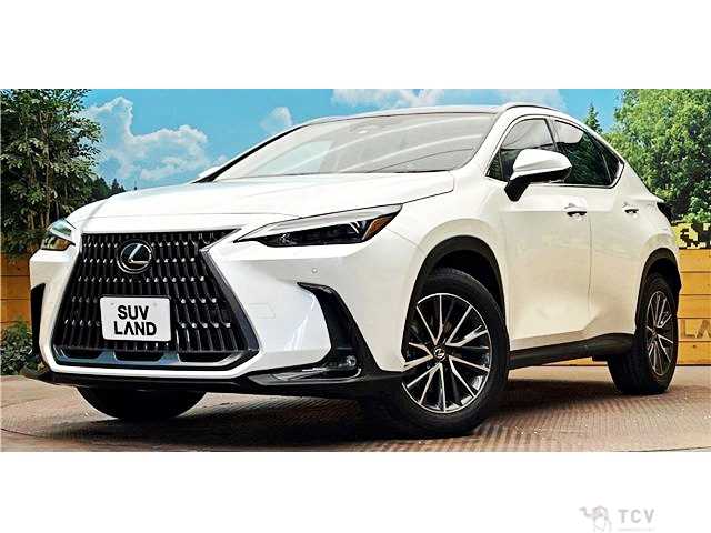2023 Lexus NX