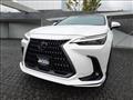2023 Lexus NX