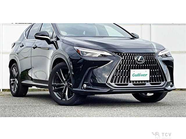 2023 Lexus NX