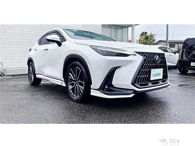 2023 Lexus NX