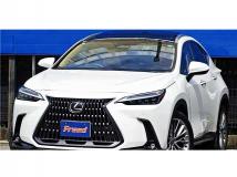 2023 Lexus NX