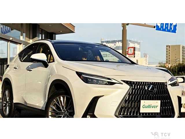 2023 Lexus NX