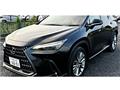 2023 Lexus NX