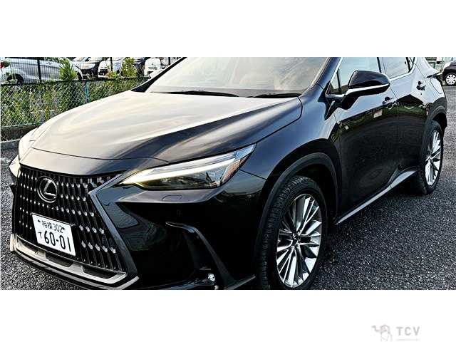 2023 Lexus NX