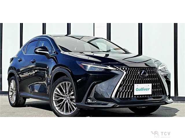 2023 Lexus NX
