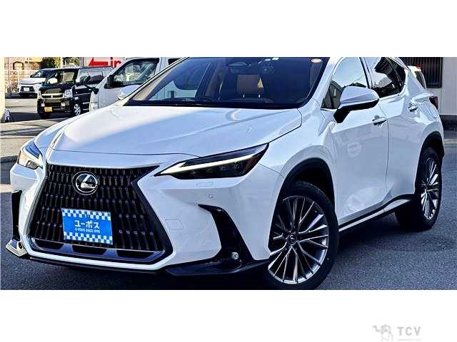 2023 Lexus NX