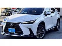 2023 Lexus NX