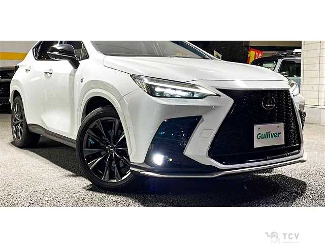 2023 Lexus NX