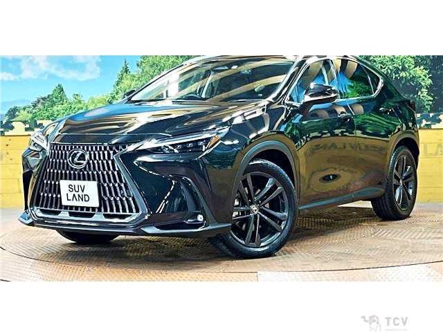 2023 Lexus NX