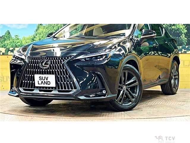 2023 Lexus NX