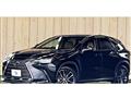 2023 Lexus NX