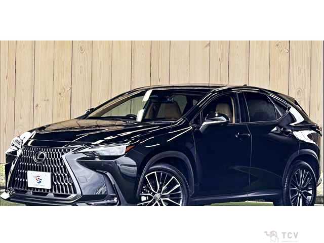 2023 Lexus NX