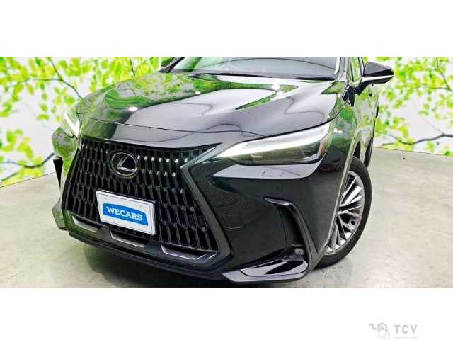 2023 Lexus NX