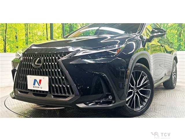 2023 Lexus NX