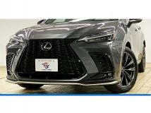 2023 Lexus NX