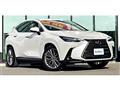 2023 Lexus NX
