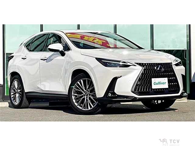 2023 Lexus NX
