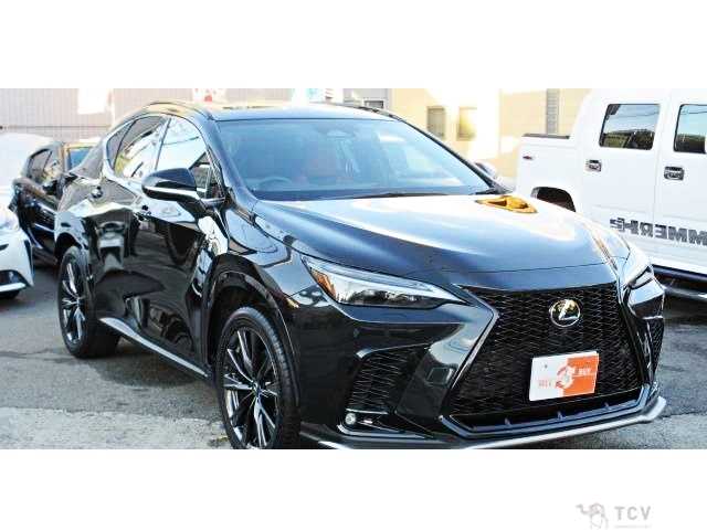2023 Lexus NX