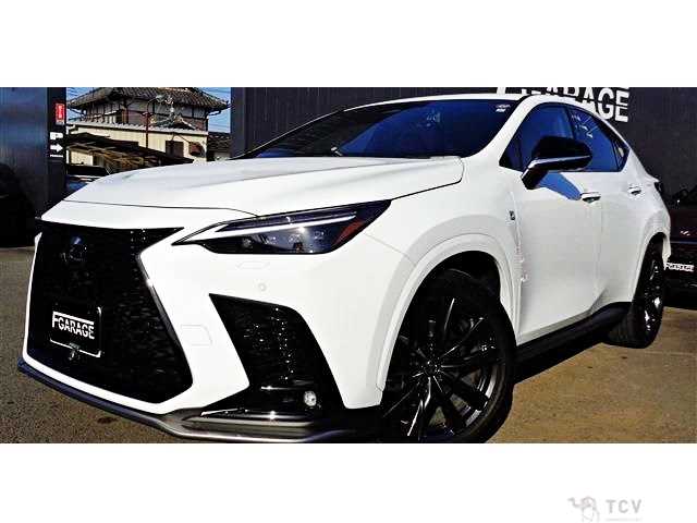 2023 Lexus NX