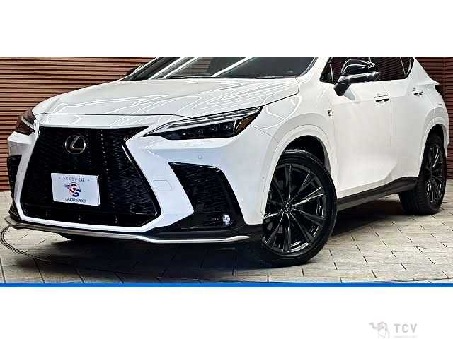 2023 Lexus NX