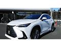 2023 Lexus NX