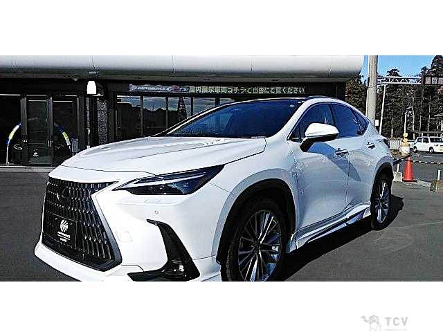 2023 Lexus NX