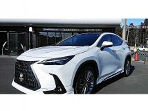 2023 Lexus NX