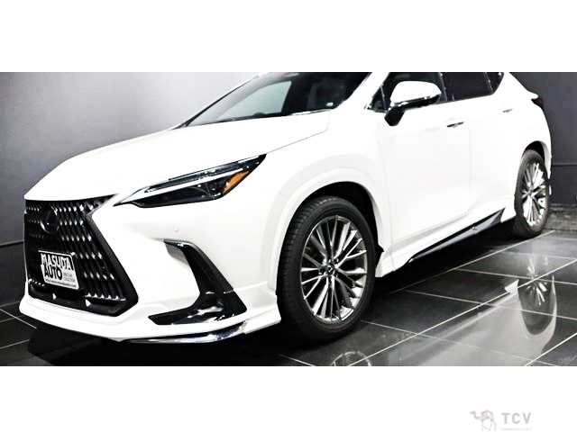 2023 Lexus NX