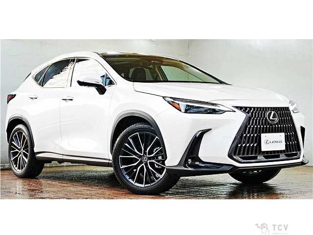 2023 Lexus NX