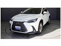 2023 Lexus NX