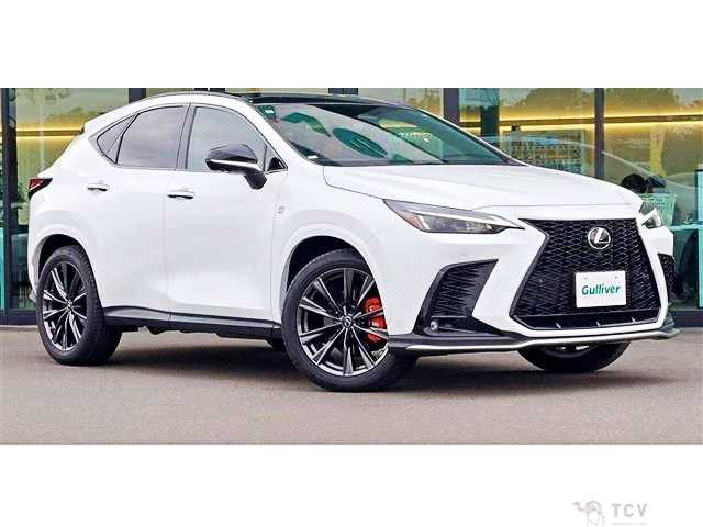 2023 Lexus NX