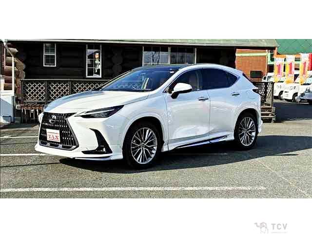 2023 Lexus NX