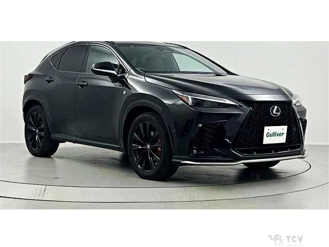2023 Lexus NX