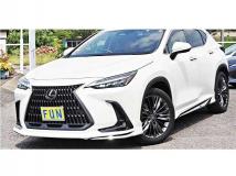 2023 Lexus NX