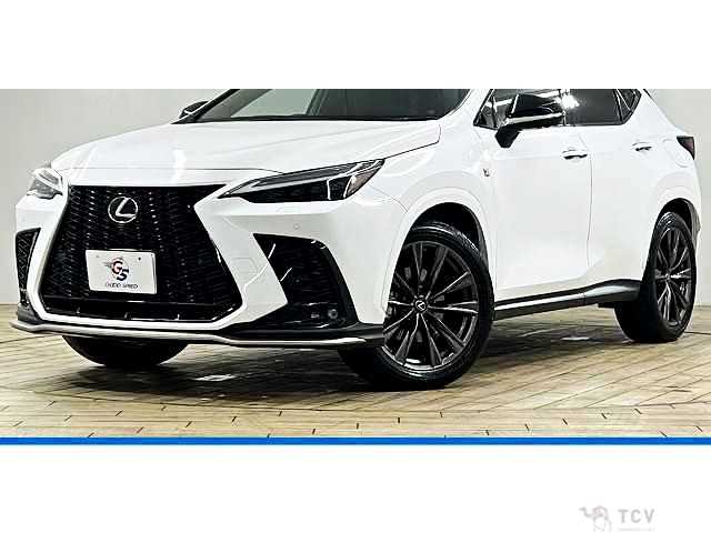 2023 Lexus NX