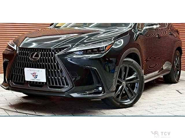 2023 Lexus NX