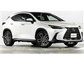2023 Lexus NX