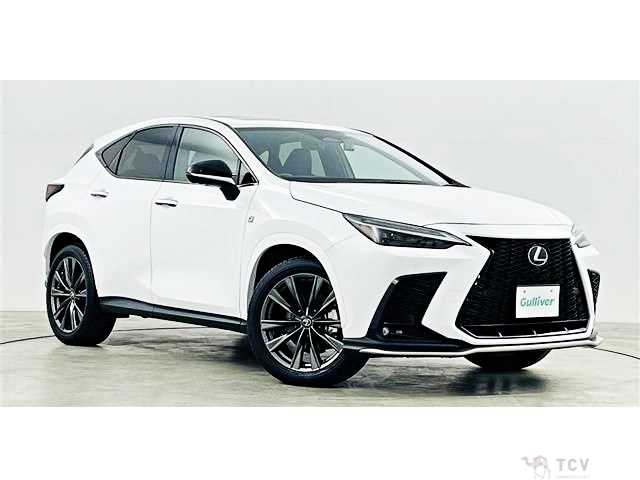 2023 Lexus NX