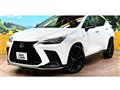 2023 Lexus NX