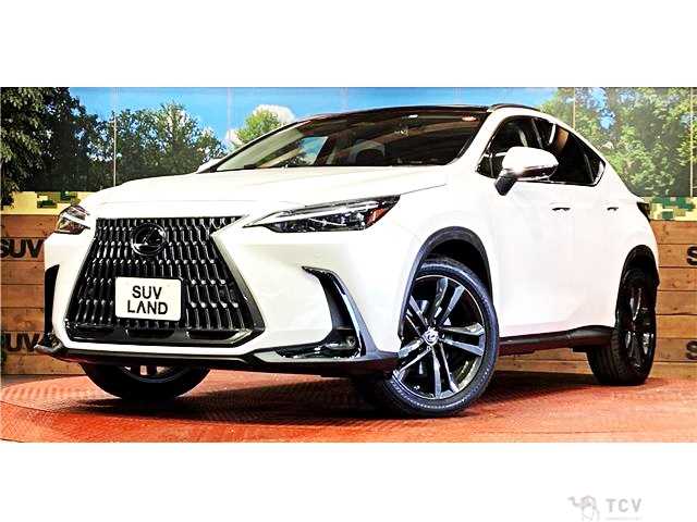 2023 Lexus NX