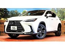 2023 Lexus NX