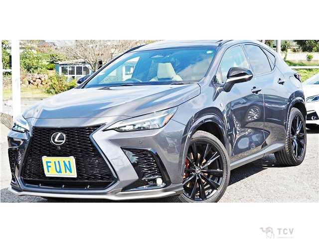 2023 Lexus NX