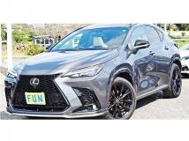 2023 Lexus NX
