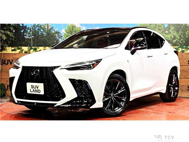 2023 Lexus NX