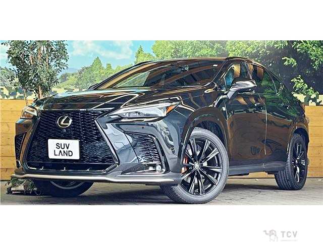 2023 Lexus NX