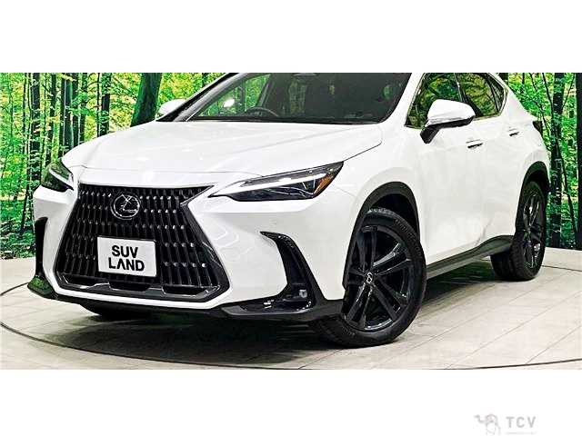 2023 Lexus NX
