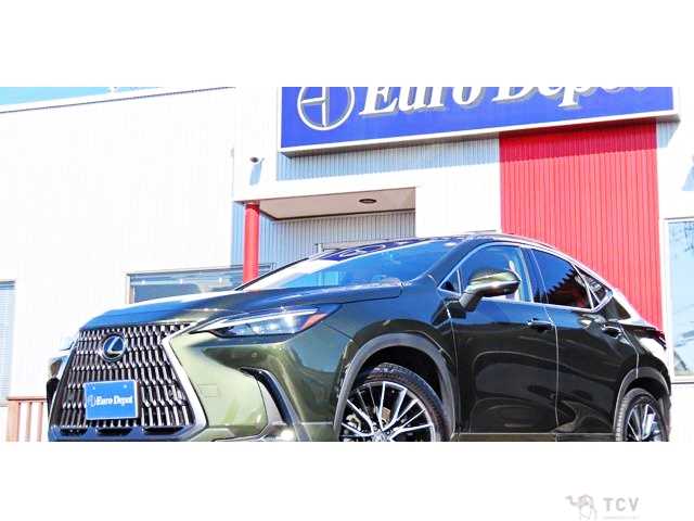 2023 Lexus NX