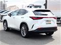 2023 Lexus NX