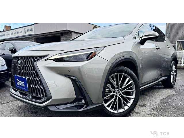2023 Lexus NX