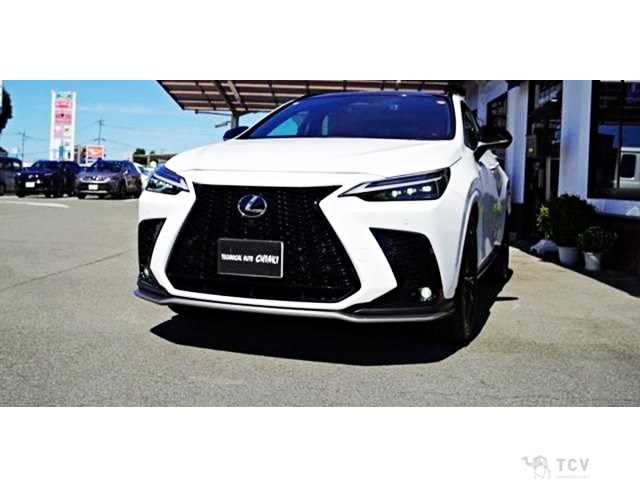 2023 Lexus NX